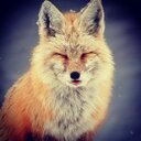 Kris Harrison - @SirkusDraws - Twitter