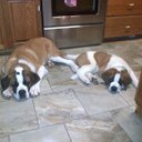 Logan McLean - @Lean12Mc - Twitter