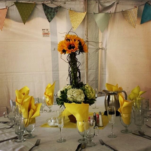 Mishney's profile picture. Pettifogger and crazy cat lady extraordinaire.