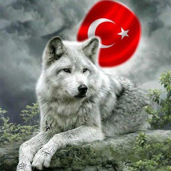 NE MUTLU TÜRKÜM DİYENE