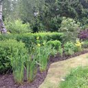 Phil Priest - @jpgardenservice - Twitter