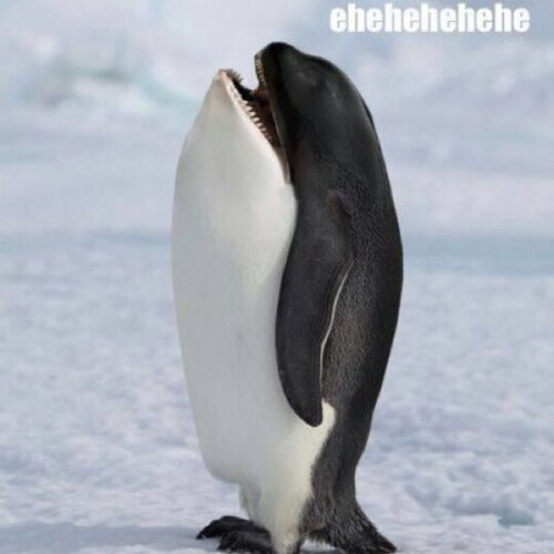 Ti3N3R4K0UNT's profile picture. Bot