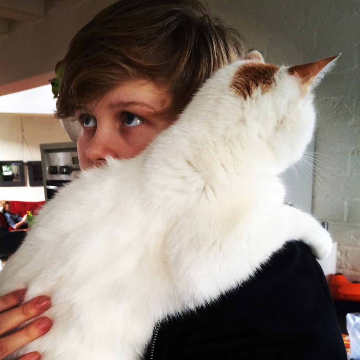 kansikuvapoika's profile picture. 