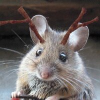 subbasser (@subbasser) 's Twitter Profile