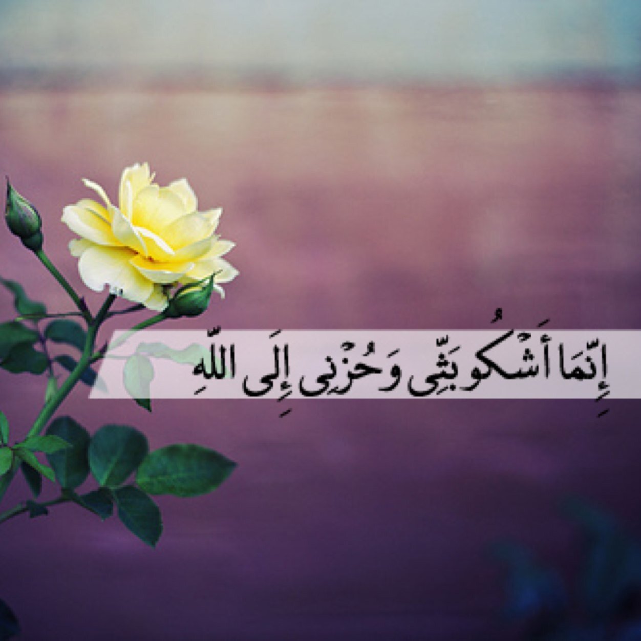 جرحي عميق Jrhya Twitter