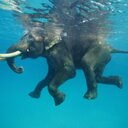 barbara laws - @plymouthbarb - Twitter