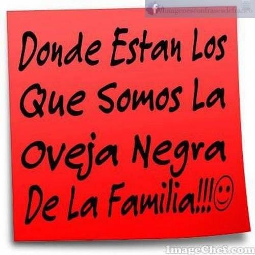 100%horiginal
