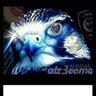 alwaled5300's profile picture. 