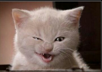 ONLYVER's profile picture. no a la rutina....