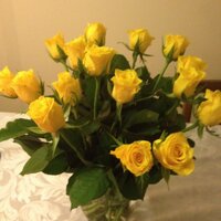 LindaField (@lindafieldrn) 's Twitter Profile Photo