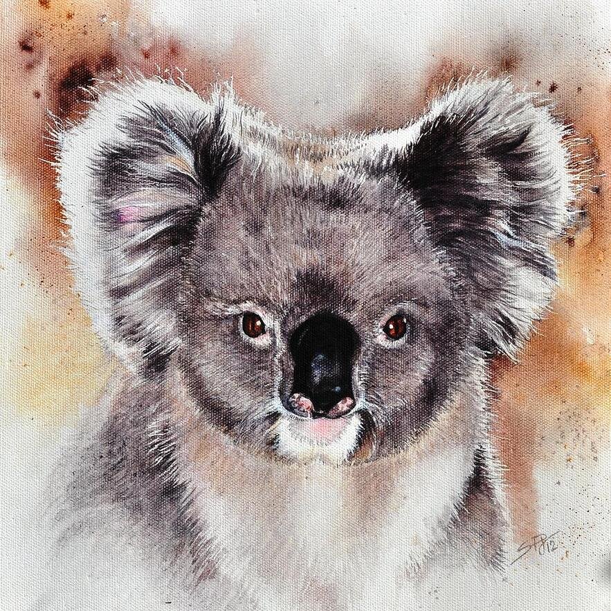 BrentB67552518's profile picture. 