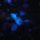 Maria Kilpatrick - @bareminimum71 - Twitter