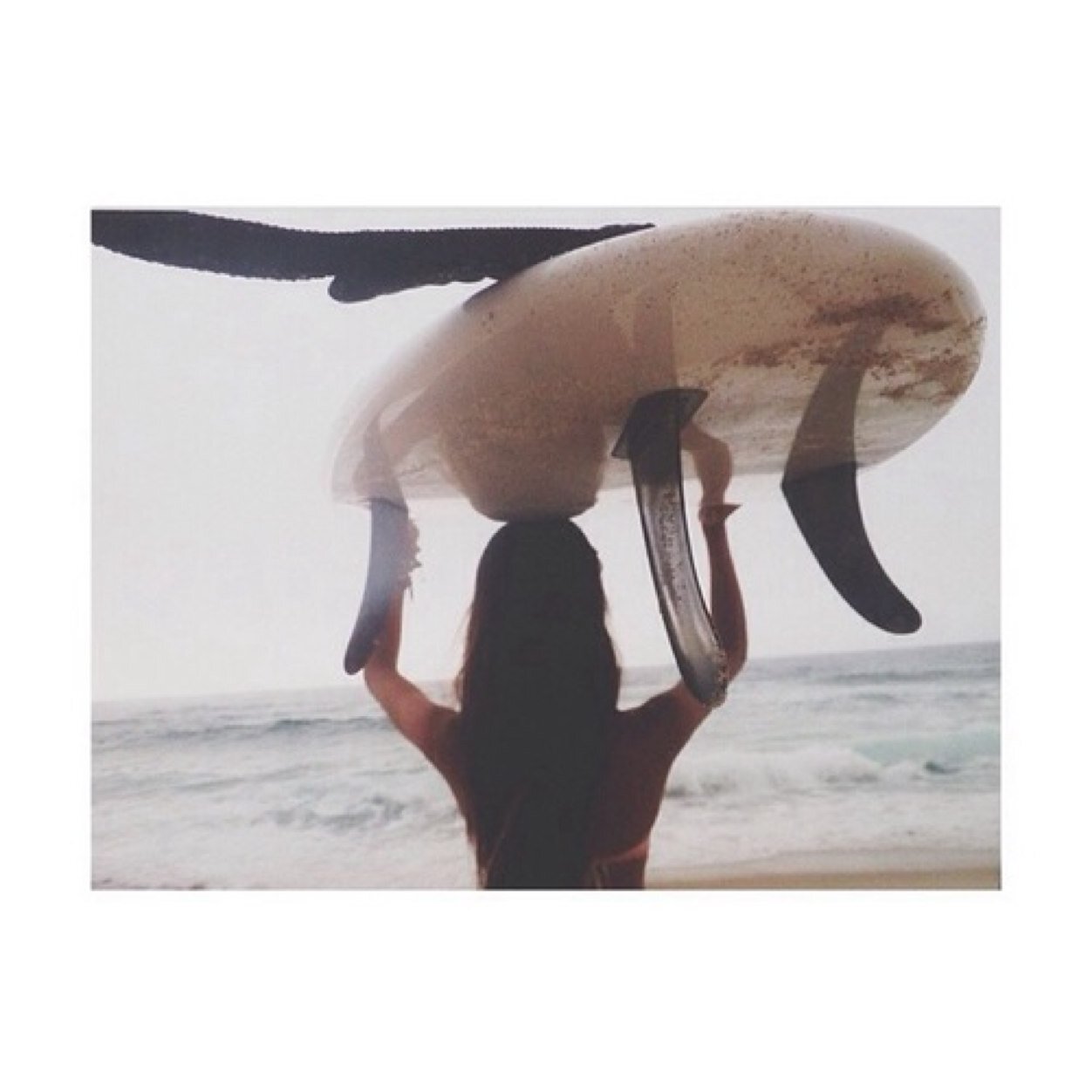 not your average surfer