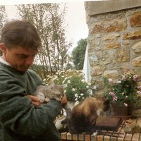 william (@dcorvec) 's Twitter Profile