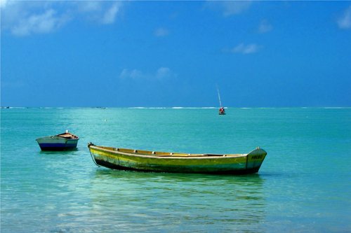 vsgarbi's profile picture. Empresário, professor, fotógrafo, dentre outros.