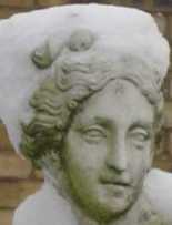 godora's profile picture. 