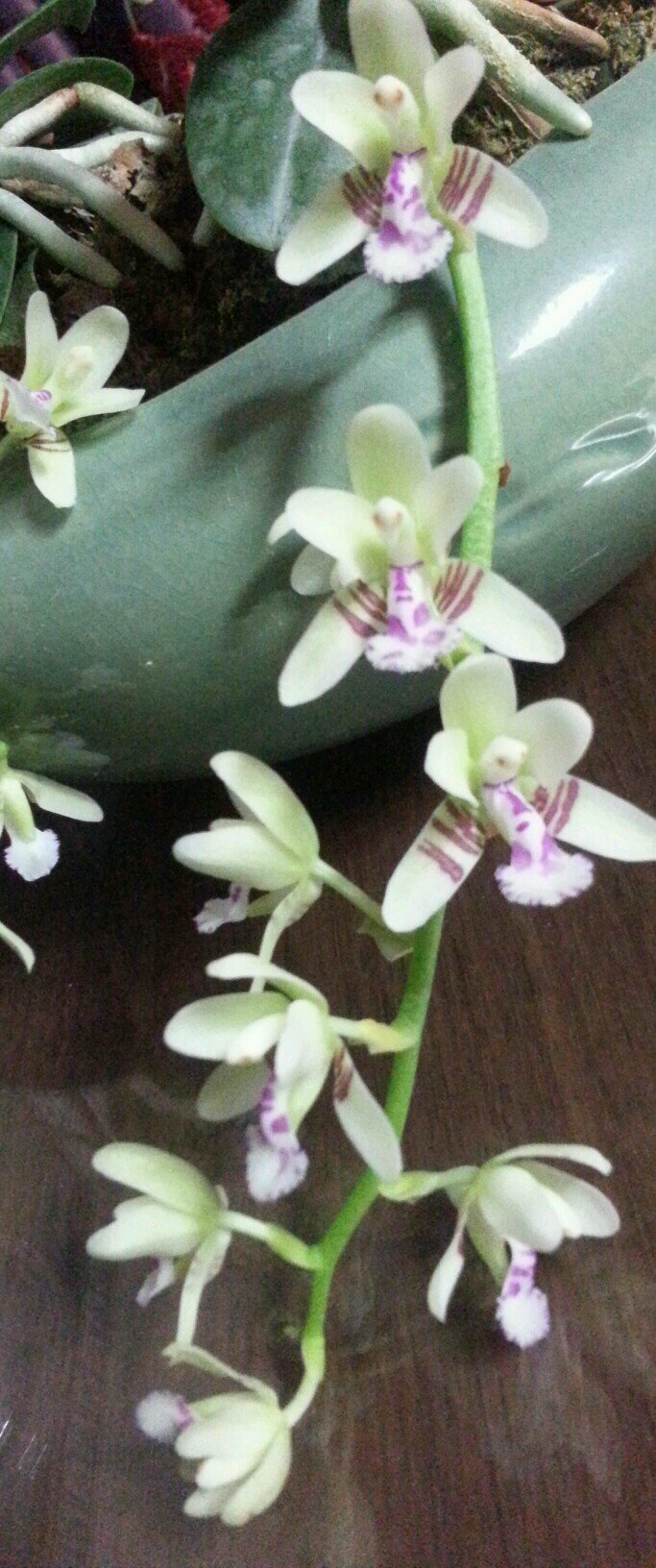 tkfideh22's profile picture. 