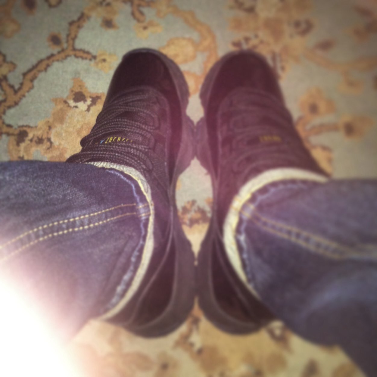 amlli808's profile picture. 