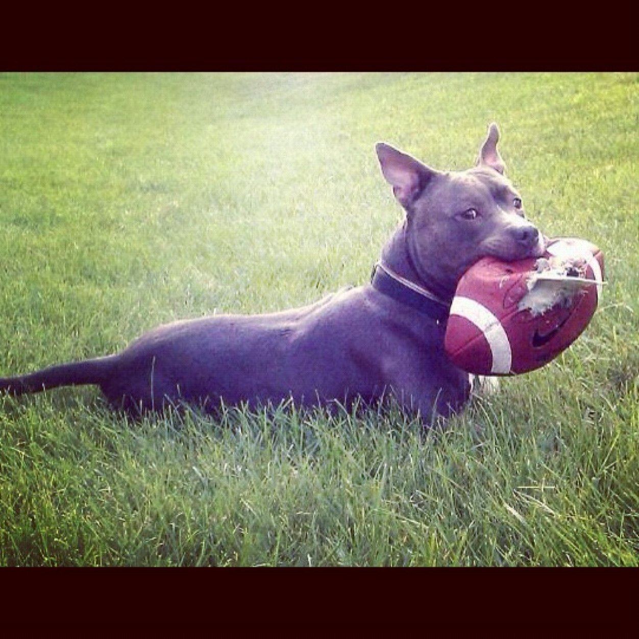 MarkC2124's profile picture. 