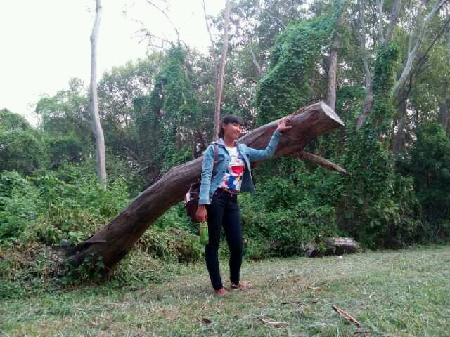 Persahabatan bagai kepompong