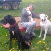 Rob Lane (@derbyfreelancer) 's Twitter Profile
