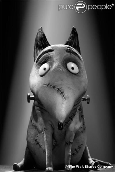 XbestiolesX's profile picture. 