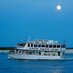 Southern Rose (@aldolphincruise) Twitter profile photo Southern Rose (@aldolphincruise) Twitter profile photo