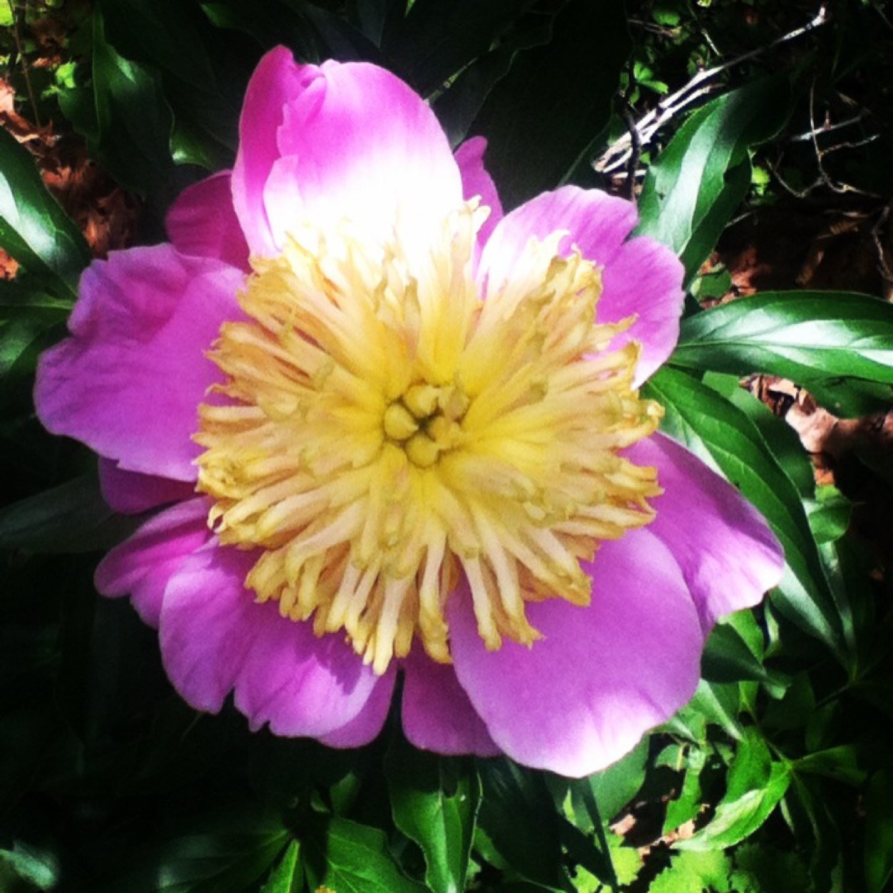 unrelatab1epost's profile picture. Completely and utterly unrelatable posts.