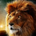 dante mancuso (@0001Mancuso) Twitter