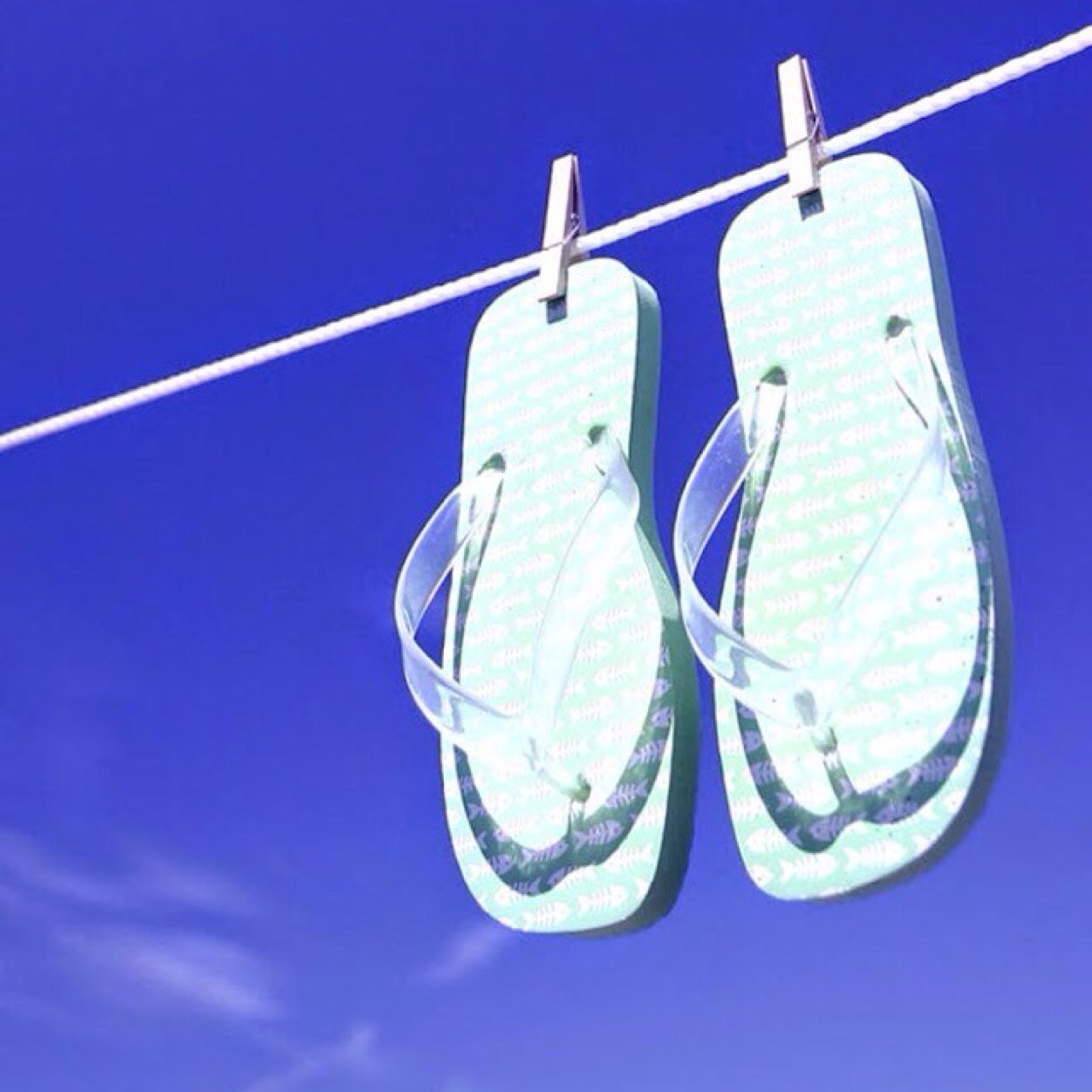 REFFOLI's profile picture. 