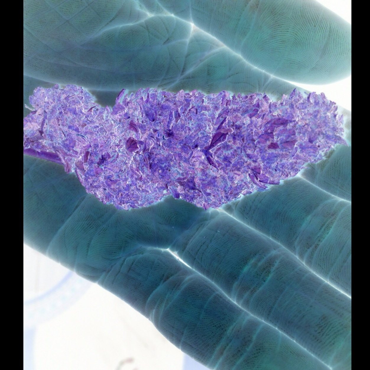 pvrpIe's profile picture. good good