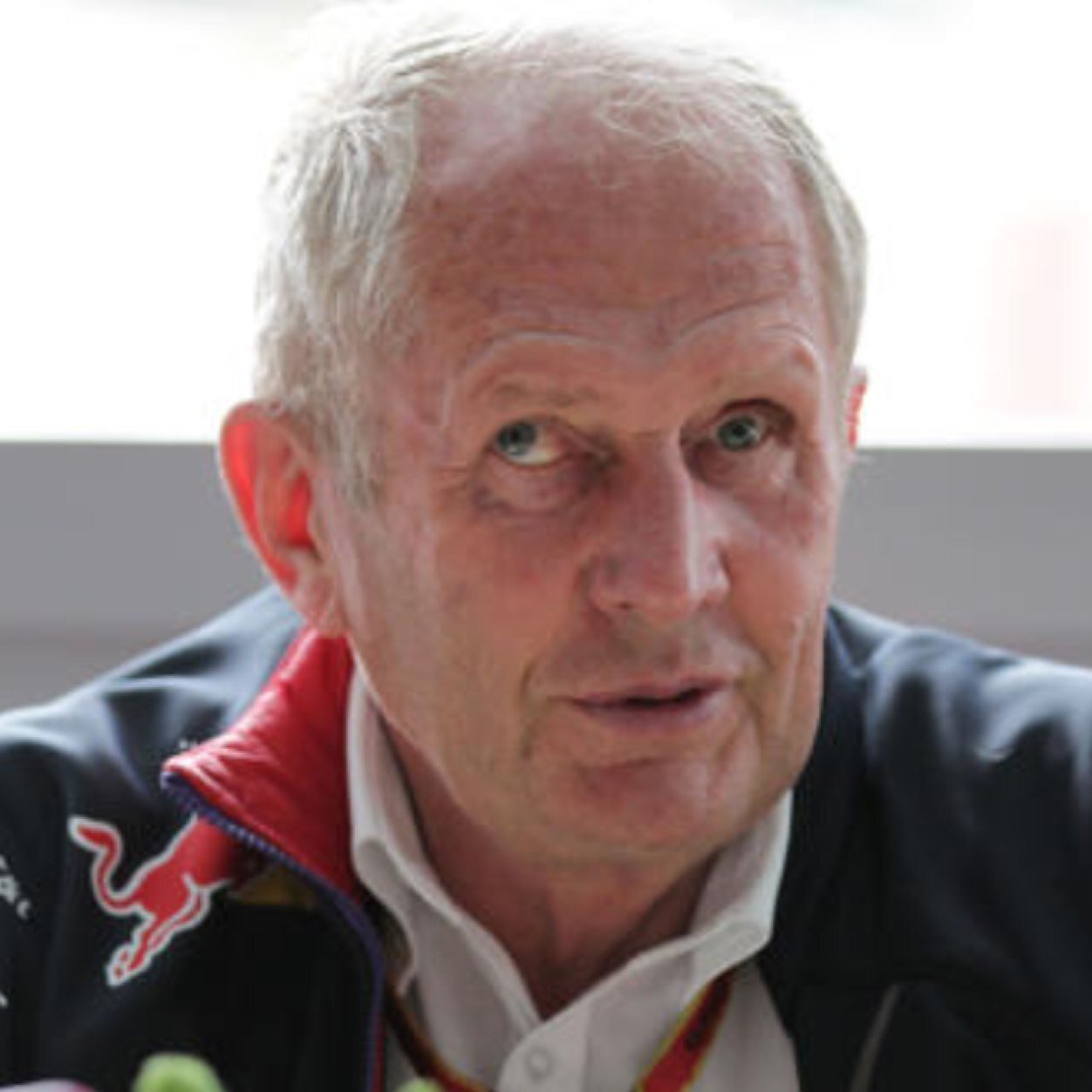helmut marko