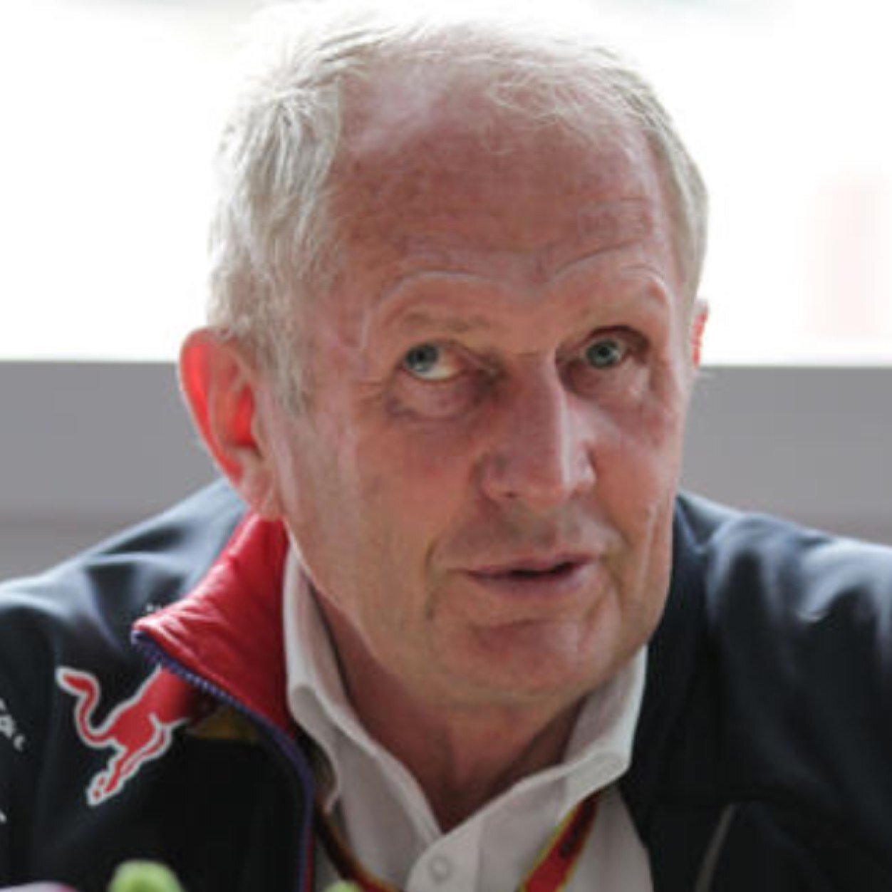 Helmut Marko