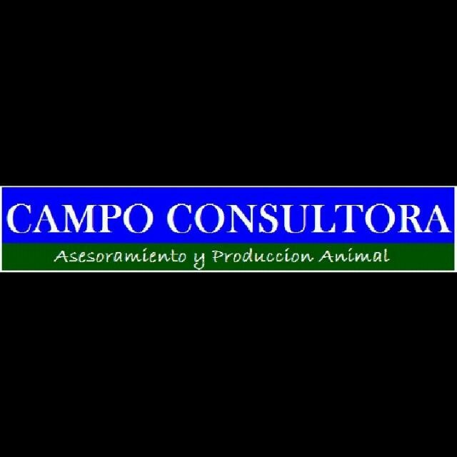 cconsultora_py's profile picture. 
