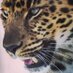StatenIslandZoo (@statenislandzoo) Twitter profile photo