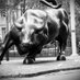 miguelmaese (@miguelmaese) Twitter profile photo