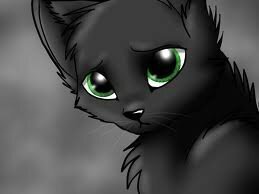 Black tom with white diamond on chest. I will always truely love Ezra. But Sunscars is my mate.