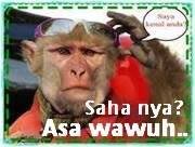 guik_goblog's profile picture. Aaaaaaaaauuuuuuuu