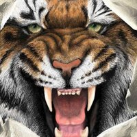 Marietta High School (@mhstigerinfo) 's Twitter Profile Photo