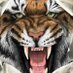 Marietta High School (@mhstigerinfo) Twitter profile photo Marietta High School (@mhstigerinfo) Twitter profile photo