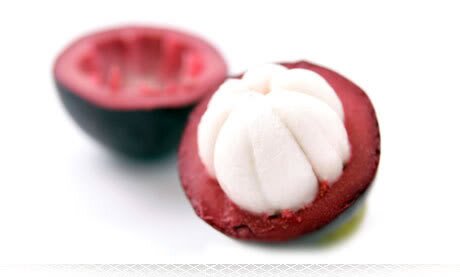 Es Krim dengan ekstrak kulit manggis yang membuat harimu jadi lebih Good....
