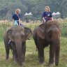 cathycalhoun's profile picture. Marketing gal, mom, animal-lover, foodie, traveler, experience junkie, typo-hater.  Opinions are mine.