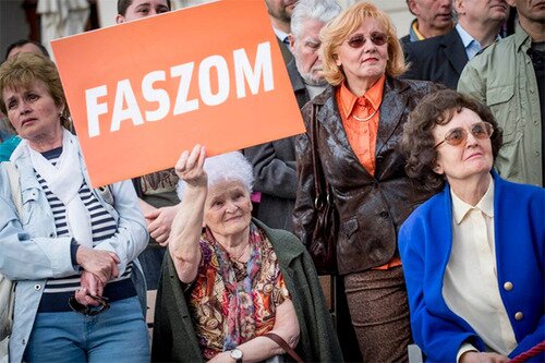 needfaya's profile picture. 