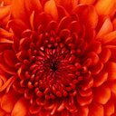 Edith Pittman - @EvaMaree_1 - Twitter