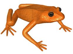 General