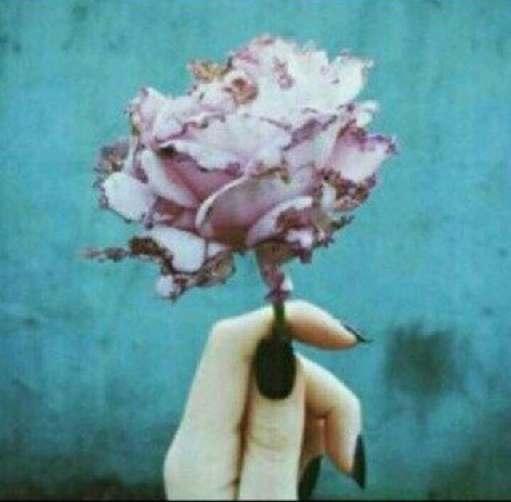 ‏سبحان الله وبحمده، سبحان الله العظيم