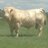 wadebeck78's profile image