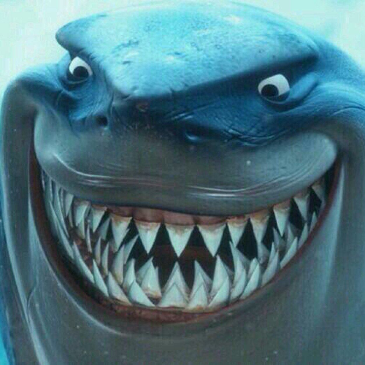 BigDaddyBolDog's profile picture. 