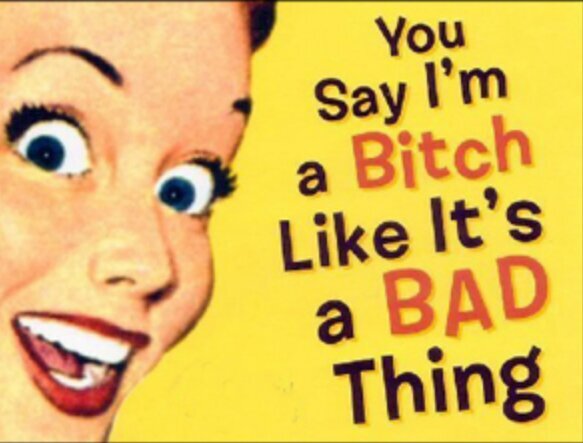 The sting of a bitch's commemt burns a little less with a sense of humor.