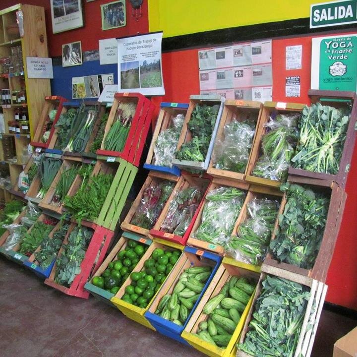 iriarteverde's profile picture. 